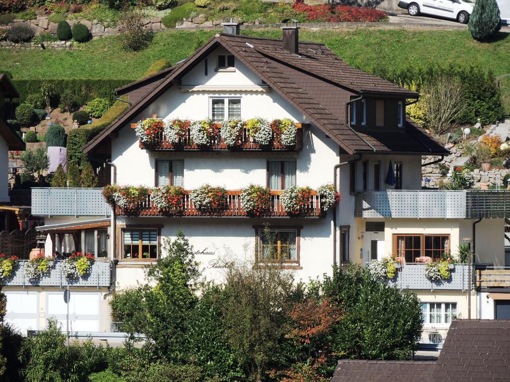Gaestehaus Und Ferienwohnung Baechle Bad Peterstal-Griesbach Ngoại thất bức ảnh